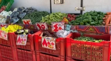 قائمة الأسعار المحدثة.. تباين تكلفة الخضار والفاكهة بأسواق المنوفية يوم الأحد